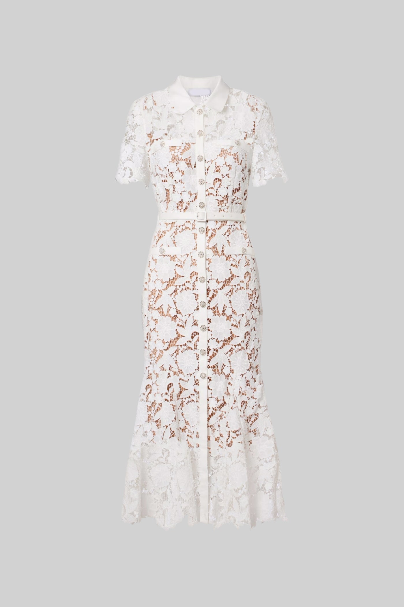 Faye | Lace Short Sleeve Belted Midi Dress