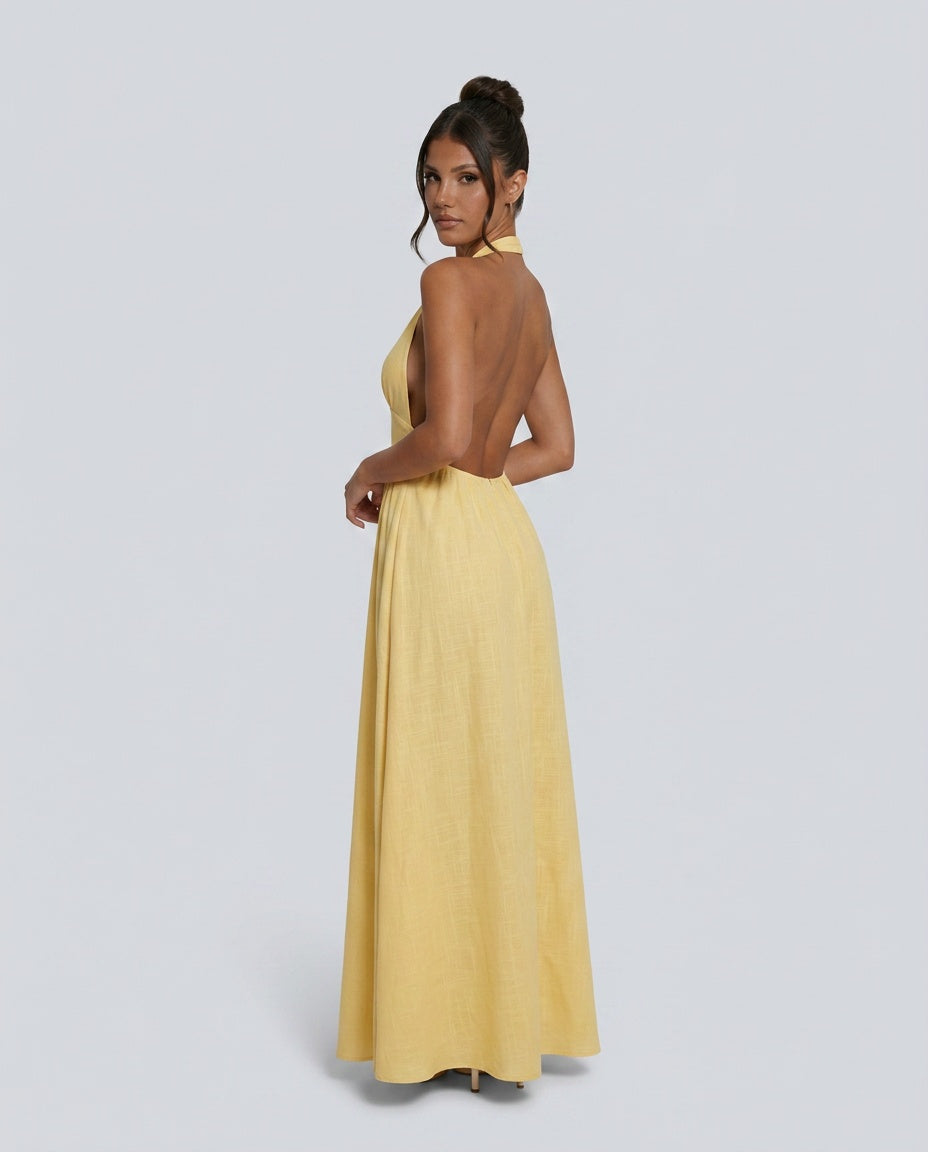 Salma | Halter V-Neck Gathered A-Line Maxi Dress