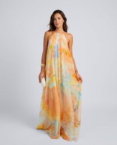 Delphine | Open Back Printed Maxi Dress
